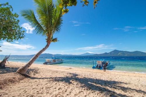a palm tree on a beach with a boat in the water at Kuda Laut Boutique Dive Resort in Bunaken