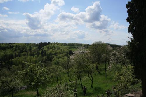 a green field with trees and clouds in the sky at Fewo im Naturpark in Spiegelberg