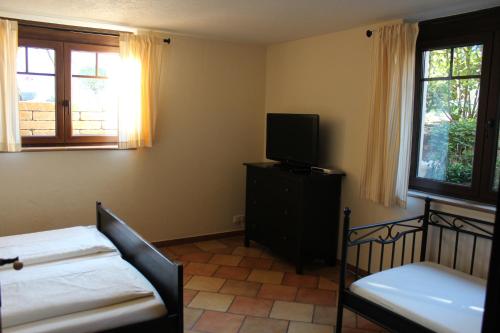 TV a/nebo společenská místnost v ubytování Pension Vanii, Apartments