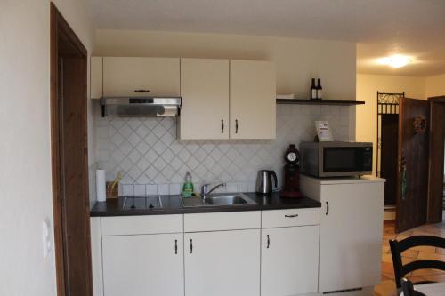 Kuchyň nebo kuchyňský kout v ubytování Pension Vanii, Apartments