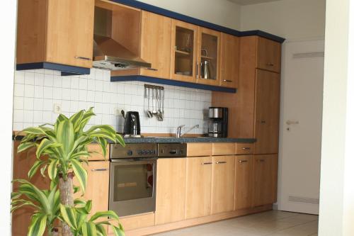 une cuisine avec des placards en bois et une plante dans l'établissement Niehaus Ostseeresidenz App 4, à Pelzerhaken