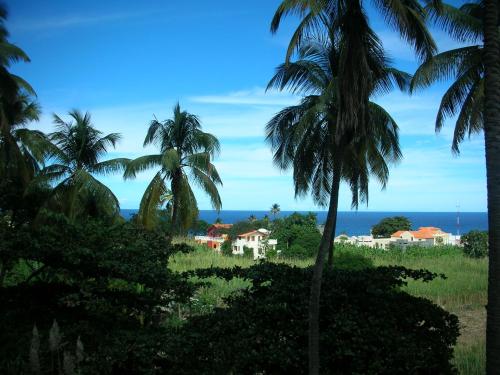 uma vista para o oceano a partir de uma plantação com palmeiras em Aldeia Jerome em Paul