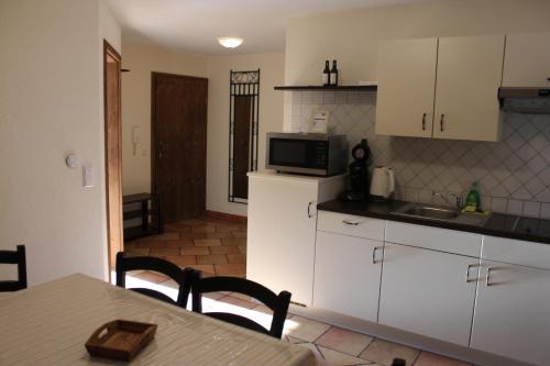 Kuchyň nebo kuchyňský kout v ubytování Pension Vanii, Apartments