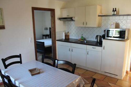 Kuchyň nebo kuchyňský kout v ubytování Pension Vanii, Apartments
