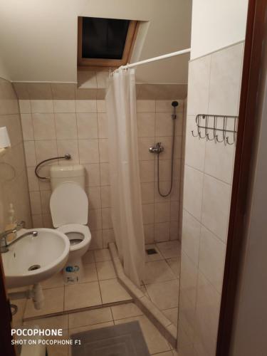 ein Bad mit einer Dusche, einem WC und einem Waschbecken in der Unterkunft Vila Anna in Veľký Meder