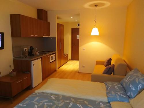 sala de estar con cama y cocina en Studio Villa Park 207 en Borovets