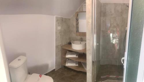 a small bathroom with a toilet and a sink at Orizont-Mahmudia in Mahmudia