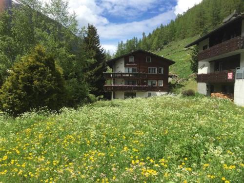 a field of flowers in front of a building at Apartment Cresta di Saas by Interhome in Saas-Grund