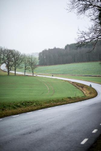 a winding road next to a green field with trees at Tokeryds Herrgård in Jönköping