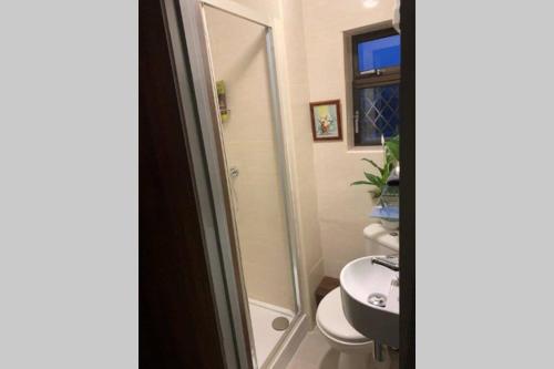 a bathroom with a shower and a toilet and a sink at Upstairs Studio - Private kitchenette and Small en-suite in Dublin