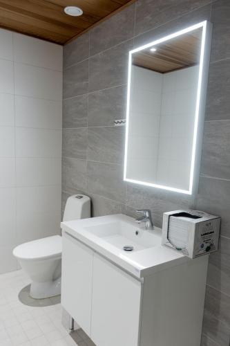 a bathroom with a sink and a mirror and a toilet at Luxury suites Pannunkorva C in Rovaniemi
