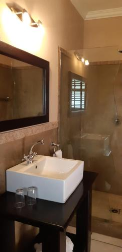 a bathroom with a white sink and a mirror at AFRICAN DREAMS GUESTHOUSE in Okahandja