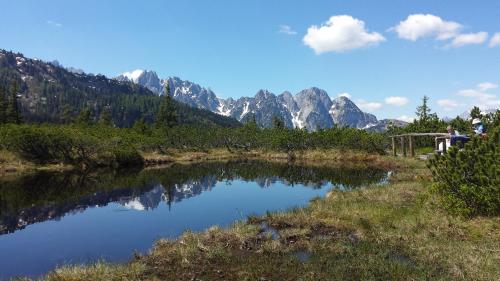 a body of water with mountains in the background at Haus 66 in Obertraun