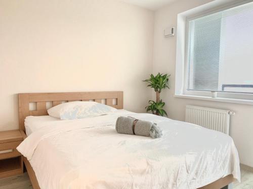 Posteľ alebo postele v izbe v ubytovaní Elegant, bright spacious apartment in Bratislava center