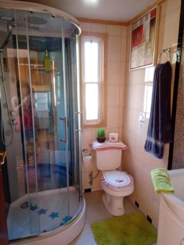 a bathroom with a shower and a toilet at Cabañas Rincon Austral in Puerto Montt