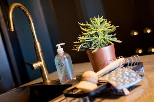 a sink with a bottle of soap and a plant at Spirit of Prince Street Hull Old Town in Hull