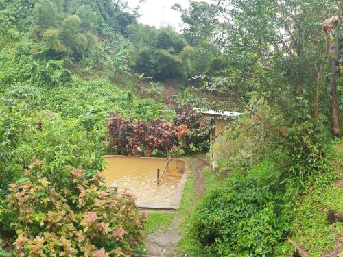 a small pool of water in the middle of a hill at Ti Kwen Glo Cho in Roseau