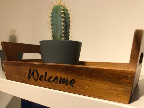 a cactus in a wooden box on a shelf at City Center Apartment with Mountain View in Interlaken
