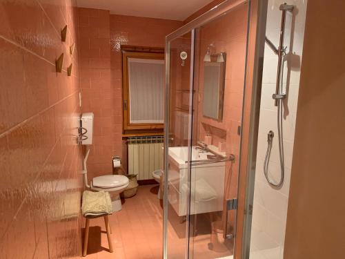 a bathroom with a shower and a toilet and a sink at Snow peak in Ponte di Legno