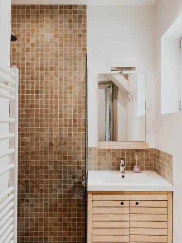 a bathroom with a sink and a mirror at Le Val Suzenay in Vendeuvre-sur-Barse