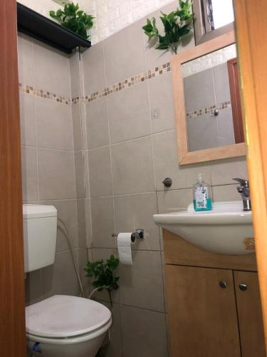a bathroom with a toilet and a sink and a mirror at Star Guest- House in Or Yehuda