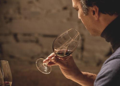 a man is holding a glass of wine at Casal dos Capelinhos - Douro in Santa Marta de Penaguião