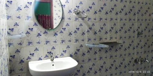 a bathroom with a sink and a mirror at Periyar Green Bed & Breakfast in Thekkady