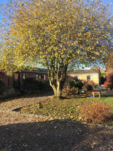 The Barn Bed and Breakfast photo 21
