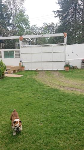 Gallery image of San Marino in Xochimilco