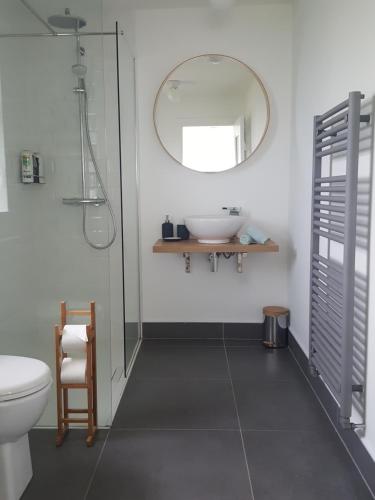 a bathroom with a toilet and a sink and a mirror at Blue Ocean Guest Suites in Doolin