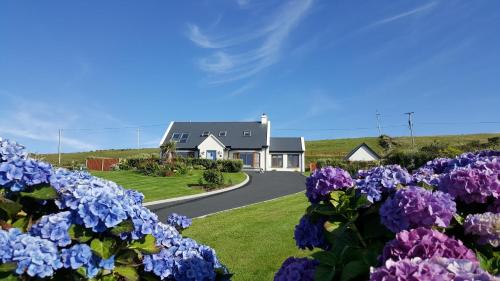 a house with purple flowers in front of a road at Blue Ocean Guest Suites in Doolin