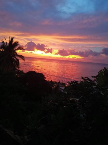 a sunset over the ocean with a palm tree at La maison du nord, T2 privé in Mtsangadoua