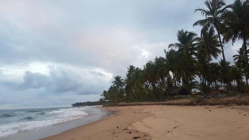 a sandy beach with palm trees and the ocean at Vila Lua de Taipu - Taipu de Fora in Barra Grande