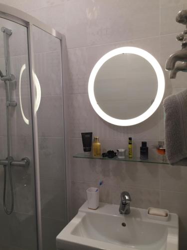 La salle de bains est pourvue d'un lavabo avec miroir et d'une douche. dans l'établissement Face Mer 