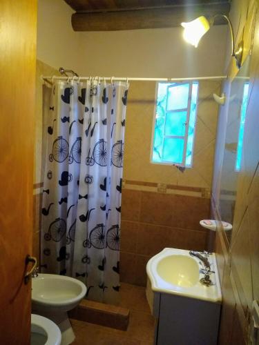 a bathroom with a sink and a toilet and a shower at Dpto La Bicicleta solar in Villa Independencia