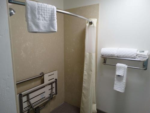 Koupelna v ubytování Best Western Duchesne Inn