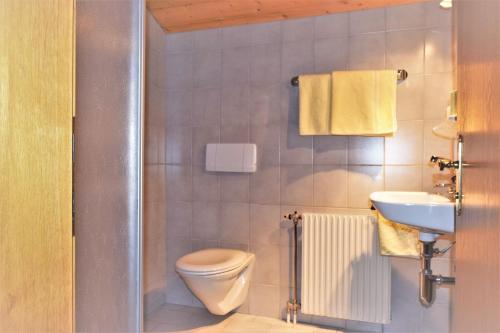 a bathroom with a toilet and a sink at Haus Grassa in Brand