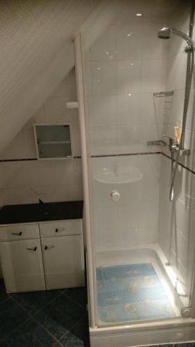 W łazience znajduje się prysznic ze szklanymi drzwiami. w obiekcie Ferienwohnung Dachspitze mit Tiefgaragenstellplatz und Skiraum w mieście Kurort Oberwiesenthal