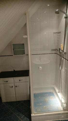 クアオルト・オーバーヴィーゼンタールにあるFerienwohnung Dachspitze mit Tiefgaragenstellplatz und Skiraumのガラスドア付きのシャワー付きのバスルーム