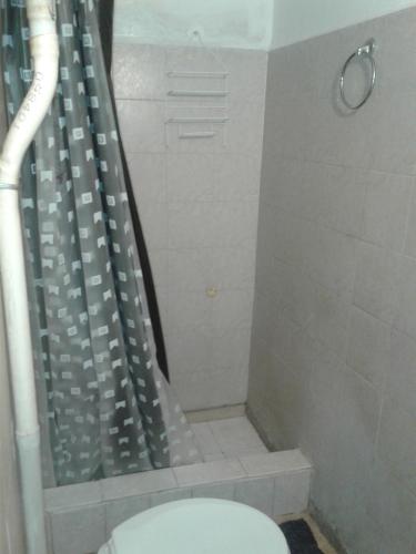 a bathroom with a shower with a toilet and a shower curtain at San martin 304 in Balcarce
