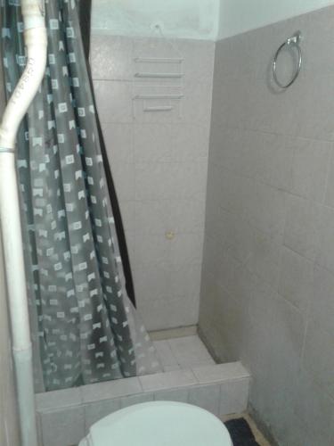 y baño con ducha, aseo y cortina de ducha. en San martin 304 en Balcarce