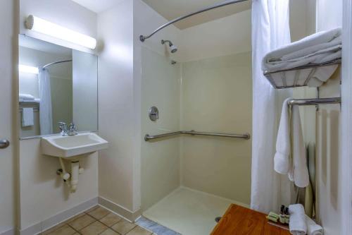 Koupelna v ubytování Hawthorn Suites by Wyndham Allentown-Fogelsville