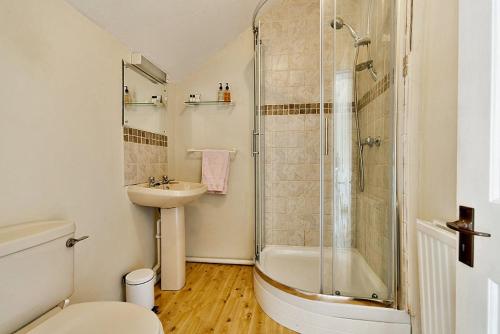 a bathroom with a shower and a toilet and a sink at Cleaver Cottage in Andover