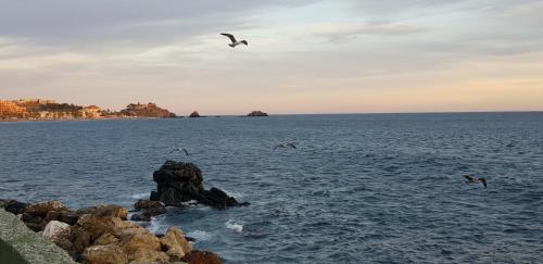 Φυσικό τοπίο κοντά σε αυτό το διαμέρισμα