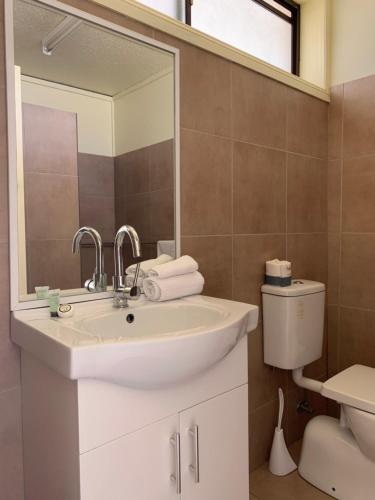 a bathroom with a sink and a mirror and a toilet at Jerilderie Motor Inn in Jerilderie