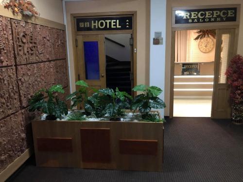 a hotel lobby with potted plants in the entrance at Hotel Piast in Česk&yacute; Tě&scaron;&iacute;n