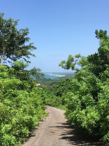 a dirt road with trees on either side of it at Solet's Paradise Negril in Negril