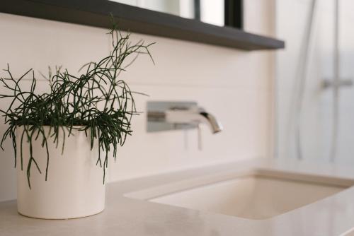 ラザグレンにあるBasq Staysの洗面台の横のカウンターに座る植物