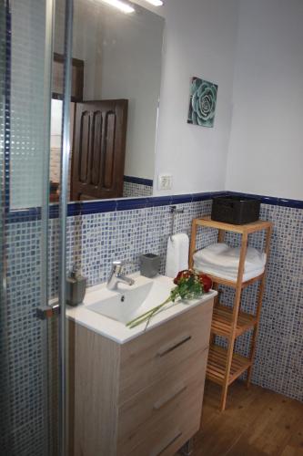 a bathroom with a sink and a mirror at Casa Luisita in Históric Center of Santa Lucía in Santa Lucía