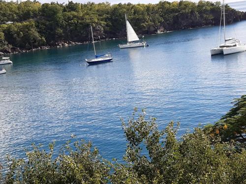 three boats are floating on a river with trees at Les Gites Capra - Papaye in Bouillante